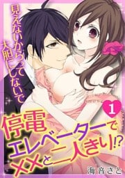 停電エレベーターで××と二人きり！？～見えないからって大胆にしないで～(1)
