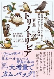 新版トリノトリビア　鳥類学者がこっそり教える野鳥のひみつ100