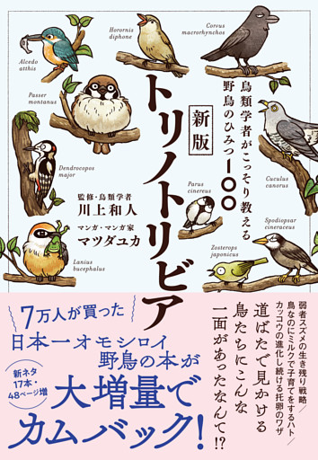 新版トリノトリビア　鳥類学者がこっそり教える野鳥のひみつ100