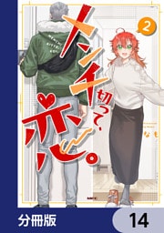 メンチ切って、恋。【分冊版】　14
