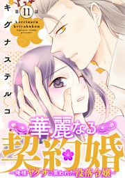華麗なる契約婚 ～俺様ヤクザに買われた没落令嬢～11