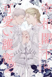 【全7-11セット】宰相閣下の可愛い護衛２【イラスト付】
