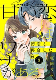 甘い恋にはワナがある～初恋と再会した夜～ 3巻