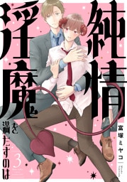 純情淫魔を満たすのは3