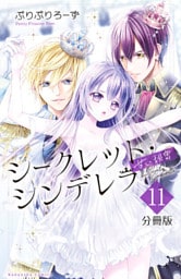 シークレット・シンデレラ～甘い秘密～　分冊版（１１）