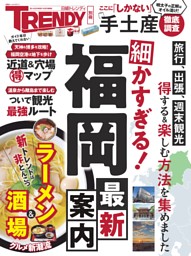 細かすぎる！福岡最新案内 表紙