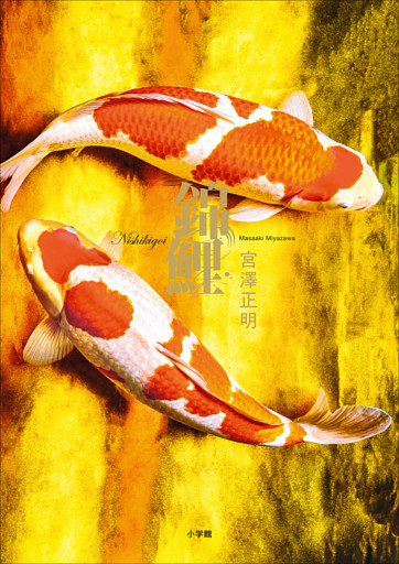 錦鯉　～宮澤正明写真集～