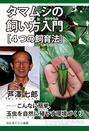 タマムシの飼い方入門［４つの飼育法］――こんなに簡単、玉虫を自然に殖やす環境づくり