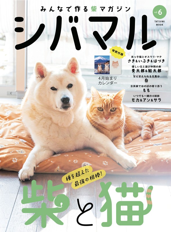 シバマル Vol.6