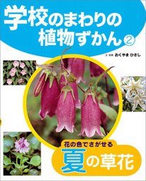 花の色でさがせる夏の草花２　学校のまわりの植物ずかん