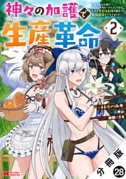 神々の加護で生産革命～異世界の片隅でまったりスローライフしてたら、なぜか多彩な人材が集まって最強国家ができてました～（コミック） 分冊版 28