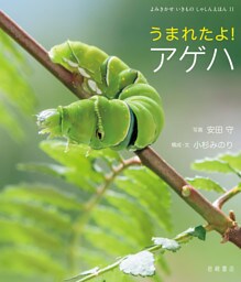 うまれたよ！　アゲハ