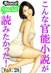 こんな官能小説が読みたかった！vol.28