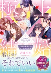 〈華麗なる三兄弟の極上結婚シリーズ〉特別書き下ろし短編集～その後の夫婦たちの終わらない溺愛～【シリーズ制作裏話付き】
