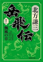岳飛伝　十二　瓢風の章