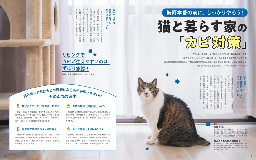 梅雨本番の前に、しっかりやろう！　猫と暮らす家の「カビ対策」