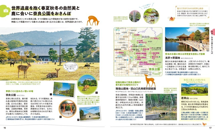 奈良公園をおさんぽ