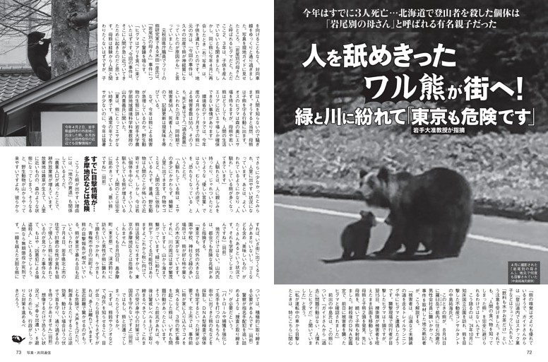 人を舐めきったワル熊が街へ！ 「東京も危険です」