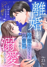 離婚したはずなのに、冷徹エリート御曹司に容赦なく溺愛されています２３
