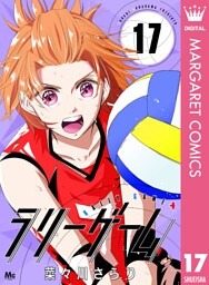 ラリーゲーム 17