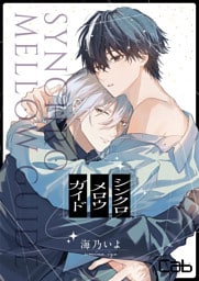 シンクロ　メロウ　ガイド2