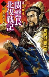 反三国志 関雲長北伐戦記3 統一へ踏みしめる道