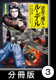 蒼空の魔王ルーデル【分冊版】3