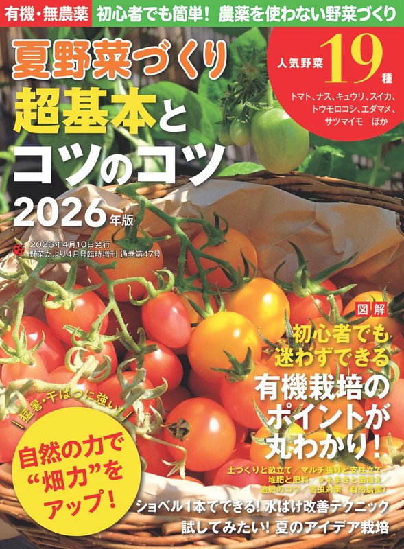 夏野菜づくり超基本のコツとコツ2026年版