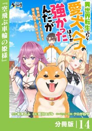 異世界転生したら愛犬ベスのほうが強かったんだが～職業街の人でも出来る宿屋経営と街の守り方～【分冊版】（ノヴァコミックス）１４