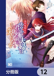 浅草鬼嫁日記　あやかし夫婦は君の名前をまだ知らない。【分冊版】　12