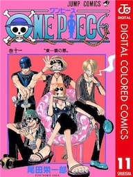 ONE PIECE カラー版 11