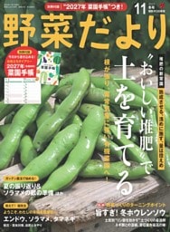 野菜だより 2026年11月冬号