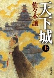 天下城（上）（新潮文庫）