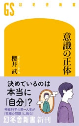 意識の正体