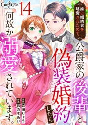 妹に婚約者を略奪されたので、公爵家の後輩と偽装婚約したら何故か溺愛されています。（14）