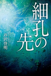 細孔の先