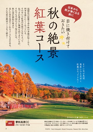 目に焼き付けておきたい 秋の絶景紅葉コース