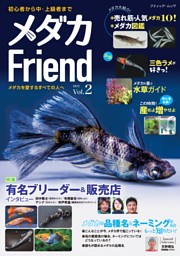 Ane ひめ　vol 17 本と付録のセット完品　5冊 Aneひめ vol．17』（講談社）｜講談社