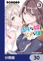王子な姫とヒメな僕【分冊版】　30