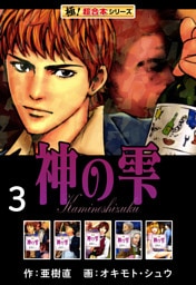 【極！超合本シリーズ】神の雫3巻