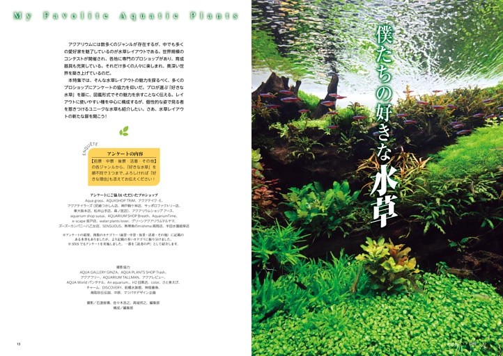 特集 僕たちの好きな水草 (アクアライフ) | dマガジン