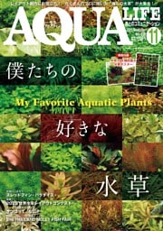 アクアライフ 11月号