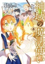 神域の魔法使い～神に愛された落第生は魔法学院へ通う～ 3巻