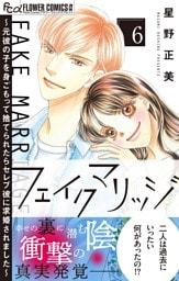 フェイクマリッジ～元彼の子を身ごもって捨てられたらセレブ彼に求婚されました～（６）