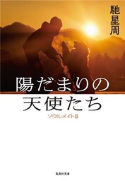 陽だまりの天使たち　ソウルメイトII