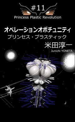 オペレーションオポチュニティ（2017）#11