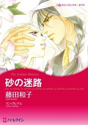 砂の迷路【分冊】 11巻