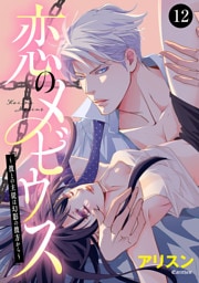 恋のメビウス～彼との主従は幻影の彼方から～　12