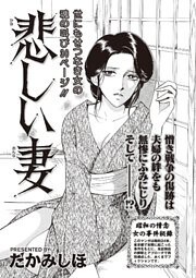 本当にあった主婦の黒い話vol.4～悲しい妻～
