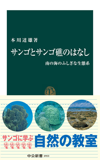 サンゴとサンゴ礁のはなし　南の海のふしぎな生態系